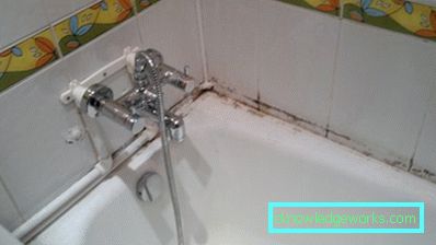 Jak se zbavit plísní a plísní v koupelně doma