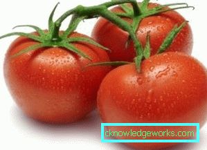 210-Nejlepší odrůdy rajčat pro Sibiř